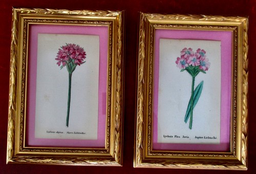Pair small framed antique - of,