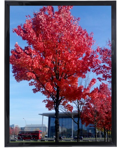 12x16 picture frame - picture, black